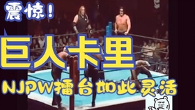 NJPW】New Japan Spirit 1999 有刺铁丝代替边绳电流爆破赛：蝶野正洋vs 