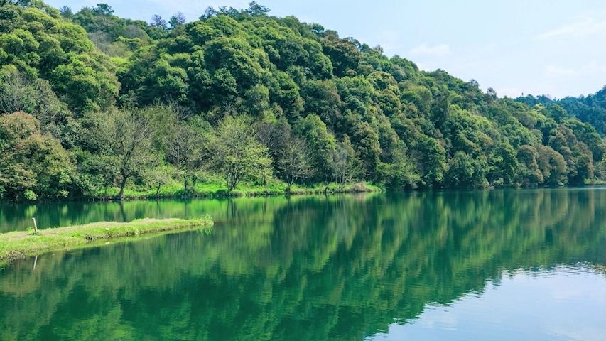 【高清看简介或私我】A285 绿水青山 舞台表演高清led背景视频素材 动态舞美哔哩哔哩bilibili