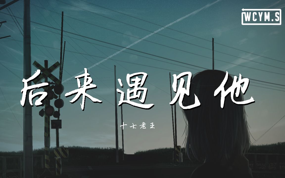 十七老王  后来遇见他 (Cover: 胡66)【动态歌词/Lyrics Video】哔哩哔哩bilibili