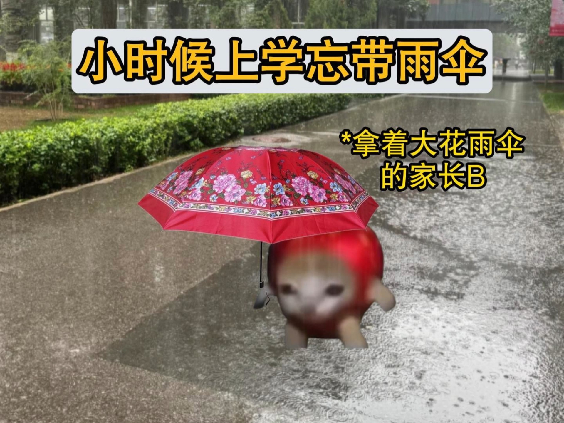 《小时候上学忘带雨伞》-猫meme日记喵-猫meme日记喵-哔哩哔哩视频