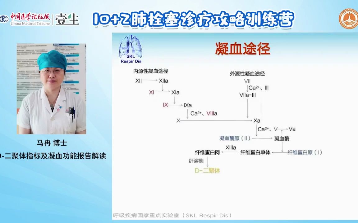 Day3D二聚体指标及凝血功能报告解读哔哩哔哩bilibili