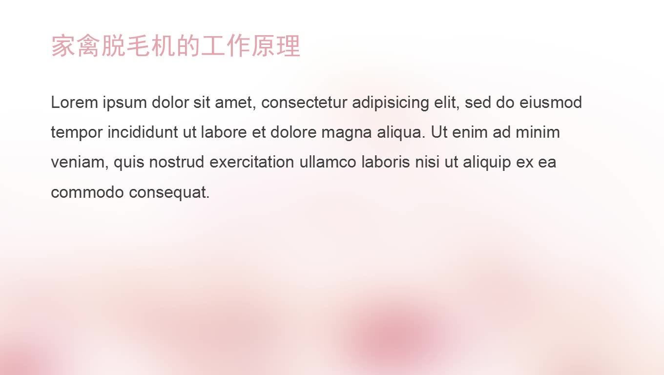 Q武夷山鸡鸭鹅家禽脱毛机哪里有三水鸡鸭鹅家禽脱毛机哪里有H哔哩哔哩bilibili