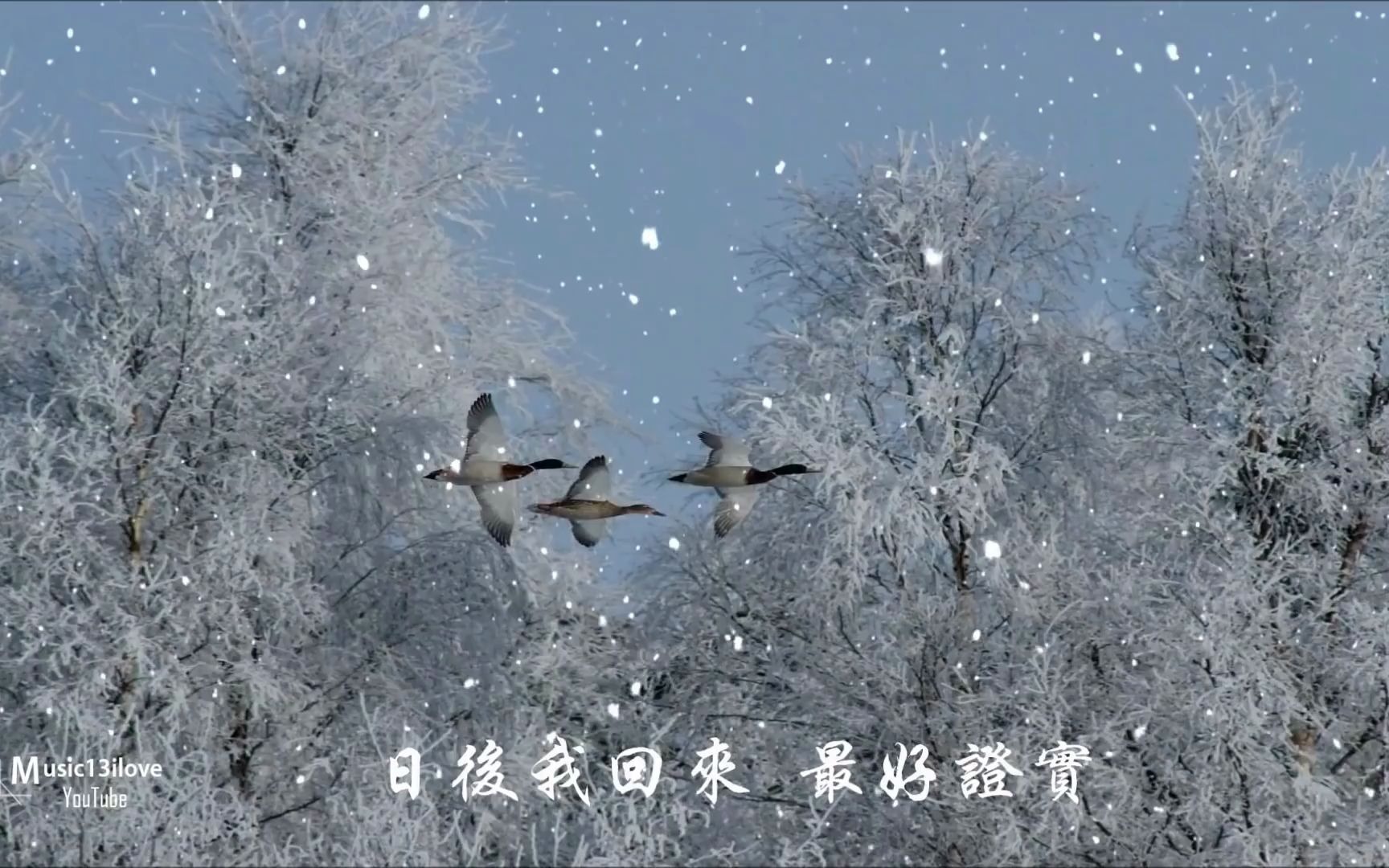 徐小凤 《雪中情 》 与你情如白雪 永远不染尘 ...(词:卢国沾 曲:邰肇玫)哔哩哔哩bilibili