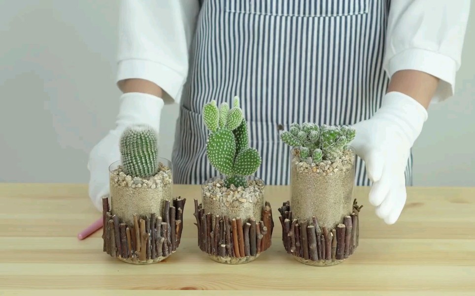 【搬运】树枝花盆第一弹