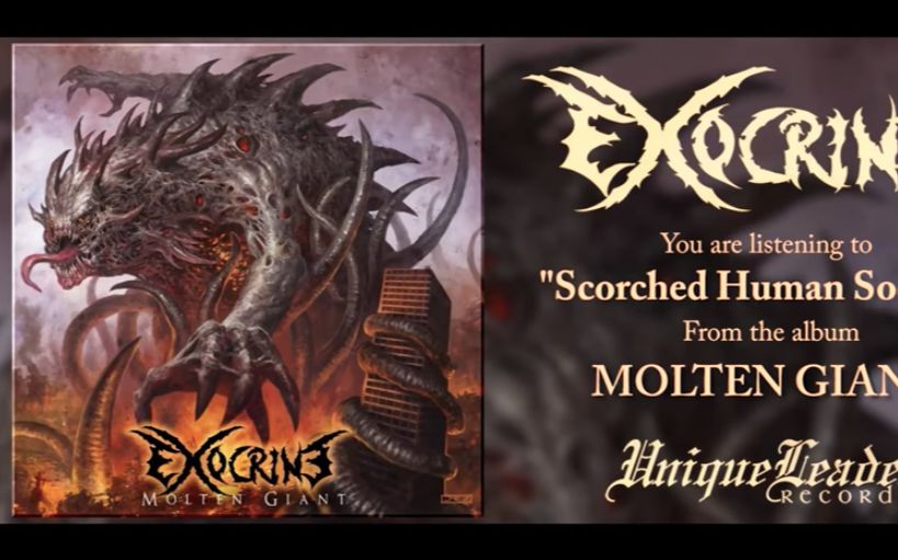album法国技术前卫死亡金属exocrine2018年专辑moltengiant
