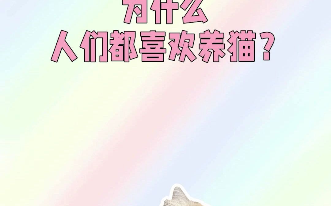 006007-为什么人们都喜欢养猫?_哔哩哔哩_bilibili