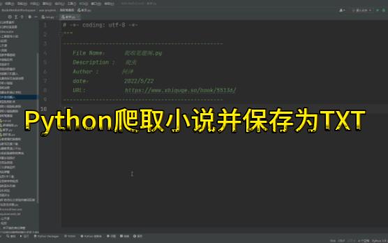 [图]python爬取小说并保存为TXT