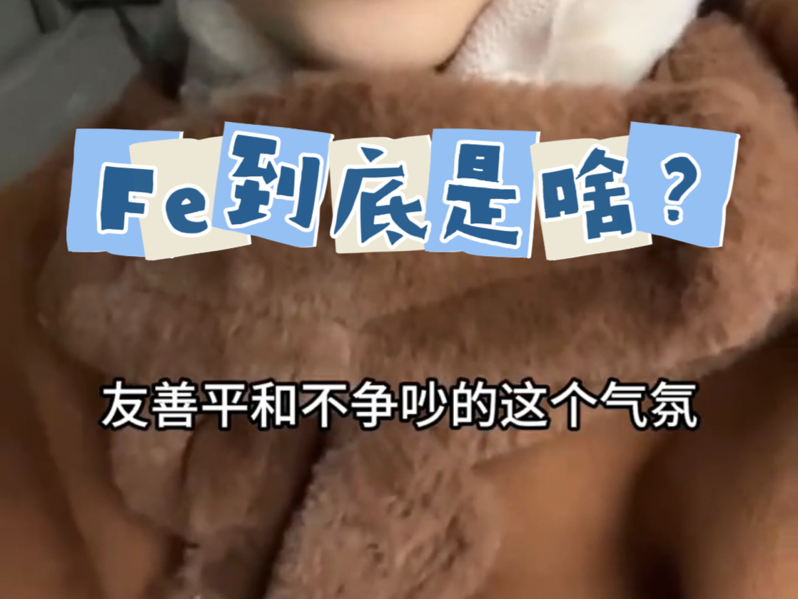 Infj的Fe到底是什么?哔哩哔哩bilibili