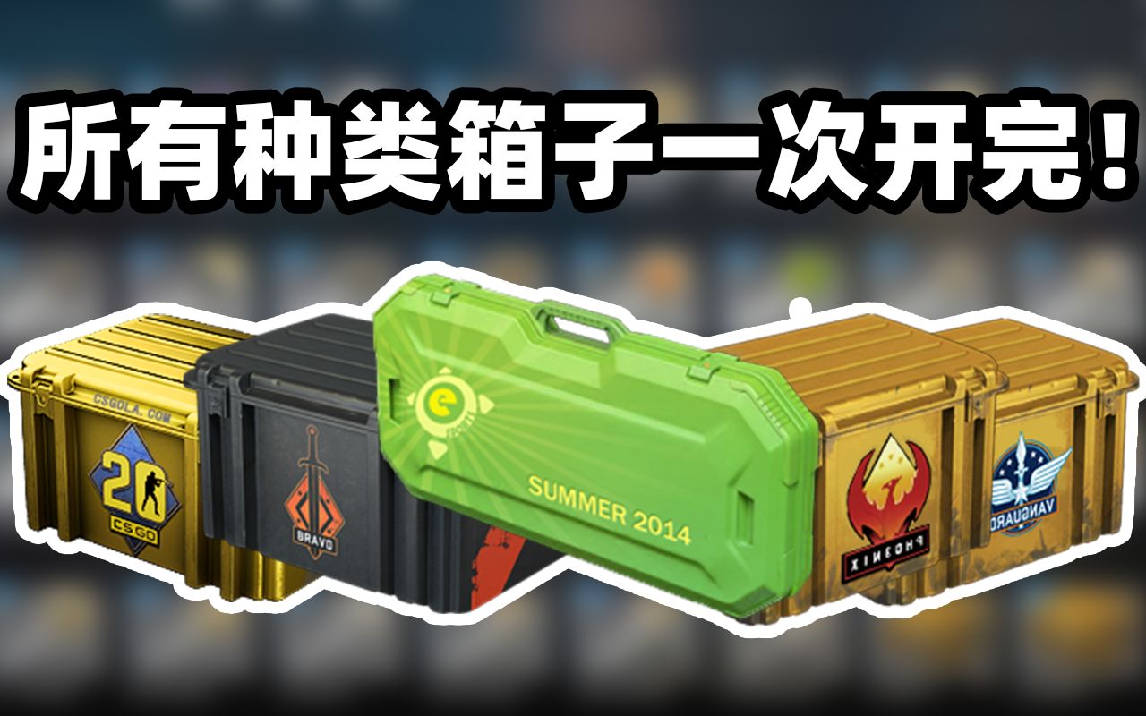 [图]【CSGO开箱】最  真  实  的  开  所  有  箱  子  ！