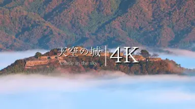 兵庫県　竹田城　御城印【岸和田城冬の陣限定版3種セット】 竹田 但馬屋老舗] 荒城の月 8個入 個包装 和菓子 - 大分県竹田市