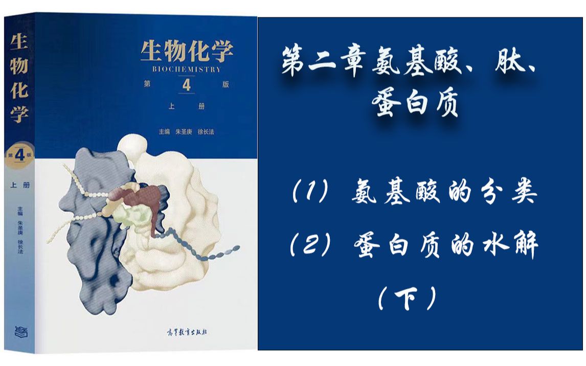 6. 生物化学  第二章 (1)氨基酸的分类;(2)蛋白质的水解.下哔哩哔哩bilibili