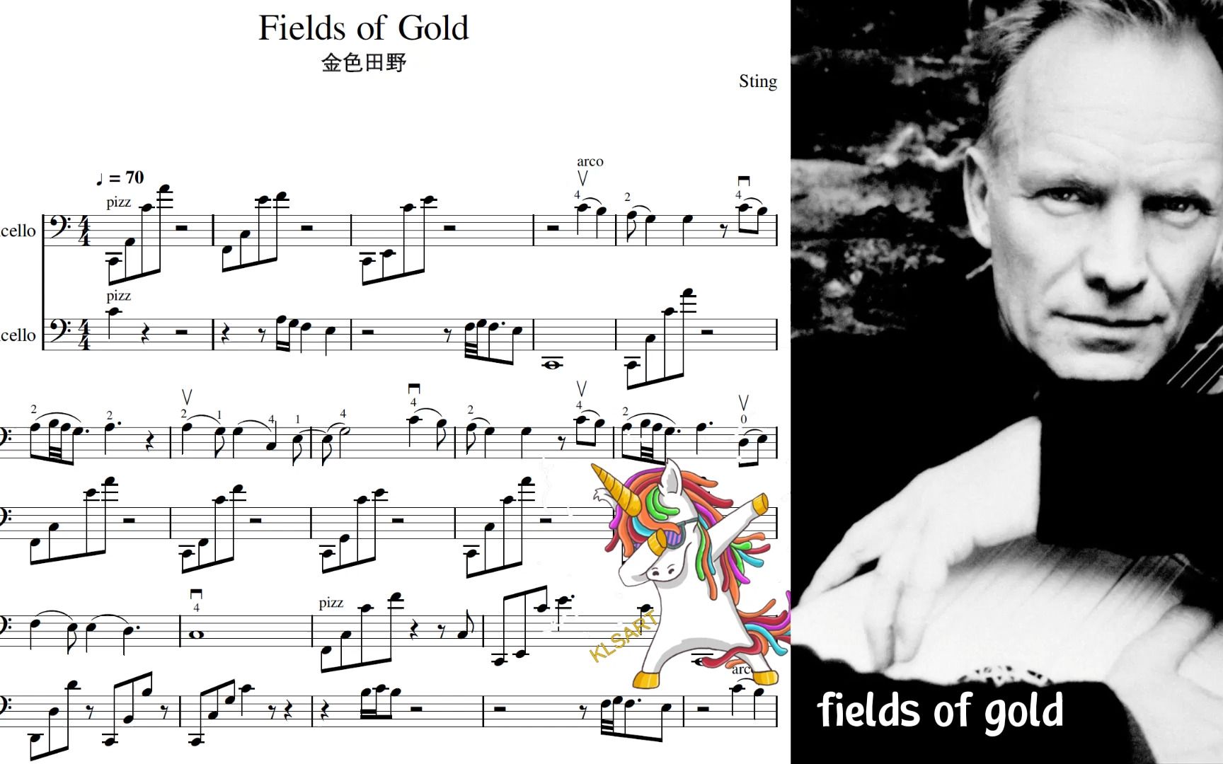 [图]改编经典 Fields of Gold 金色田野 大提琴二重奏