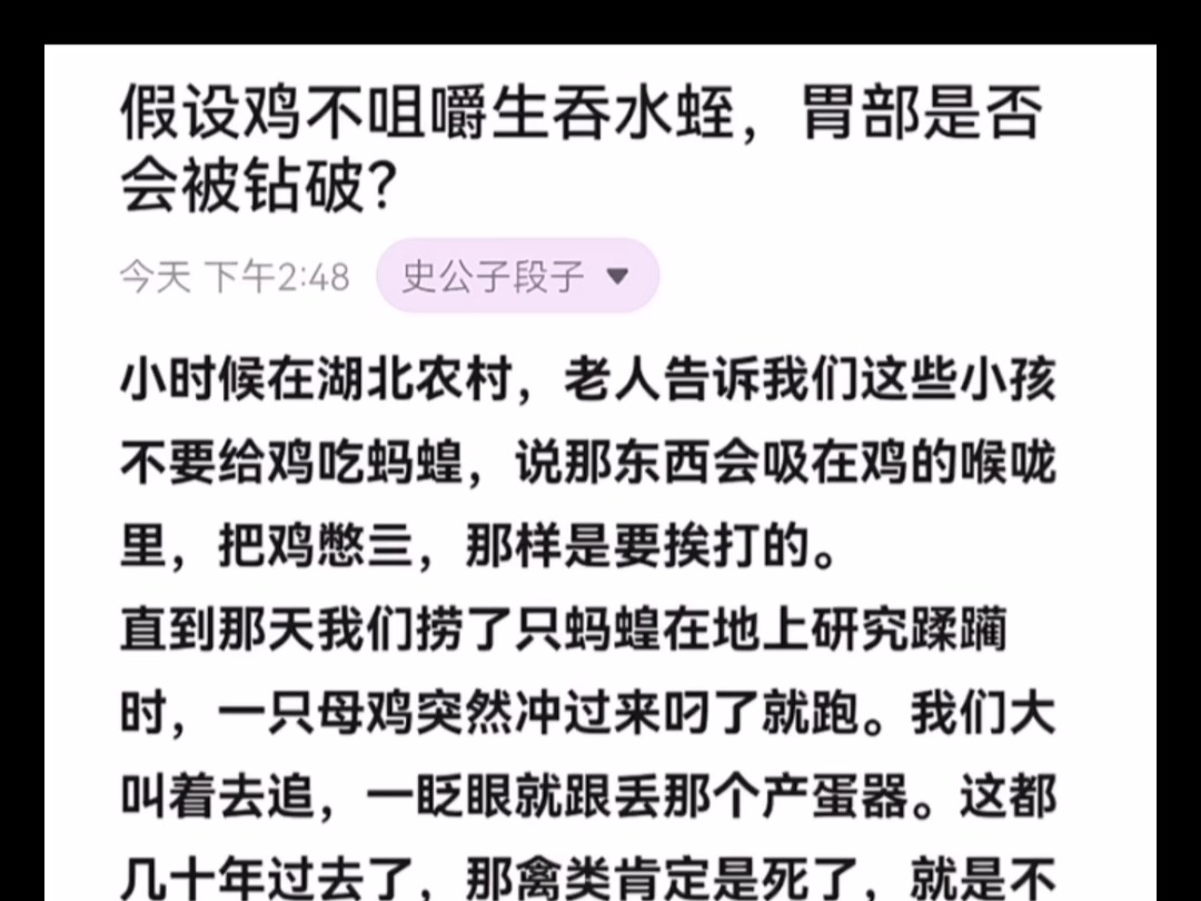 天涯顶级神贴:假设鸡不咀嚼生吞水蛭,胃部是否会被钻破?哔哩哔哩bilibili