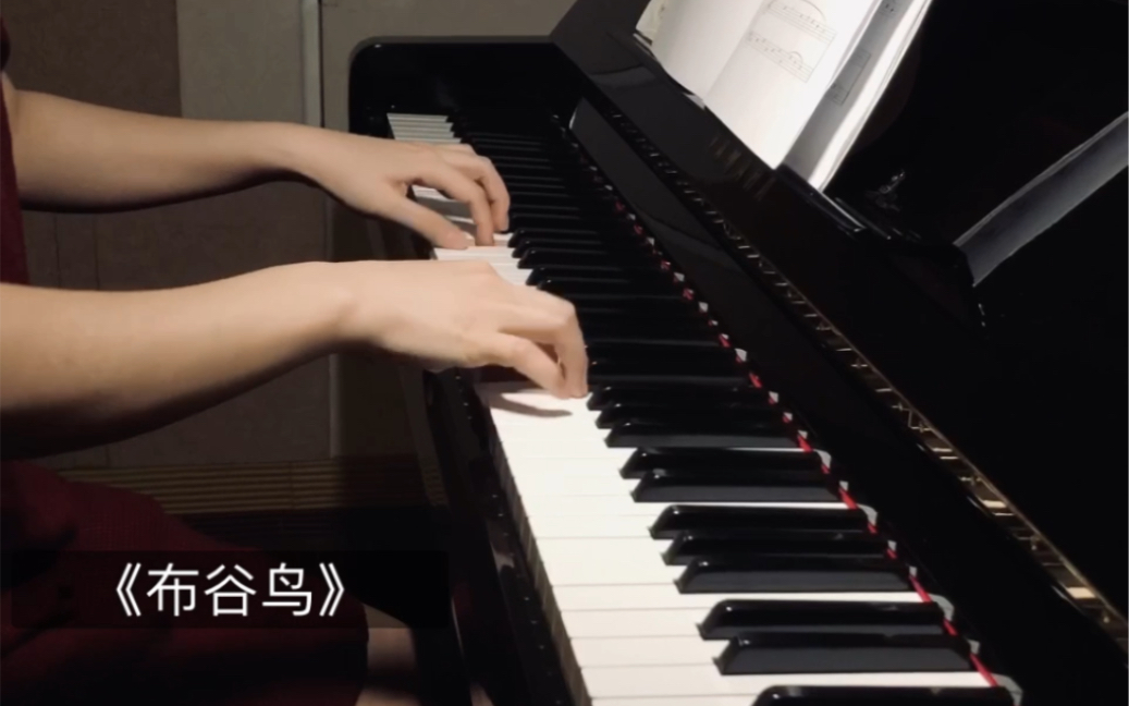 成人学钢琴儿歌布谷鸟轻轻地划