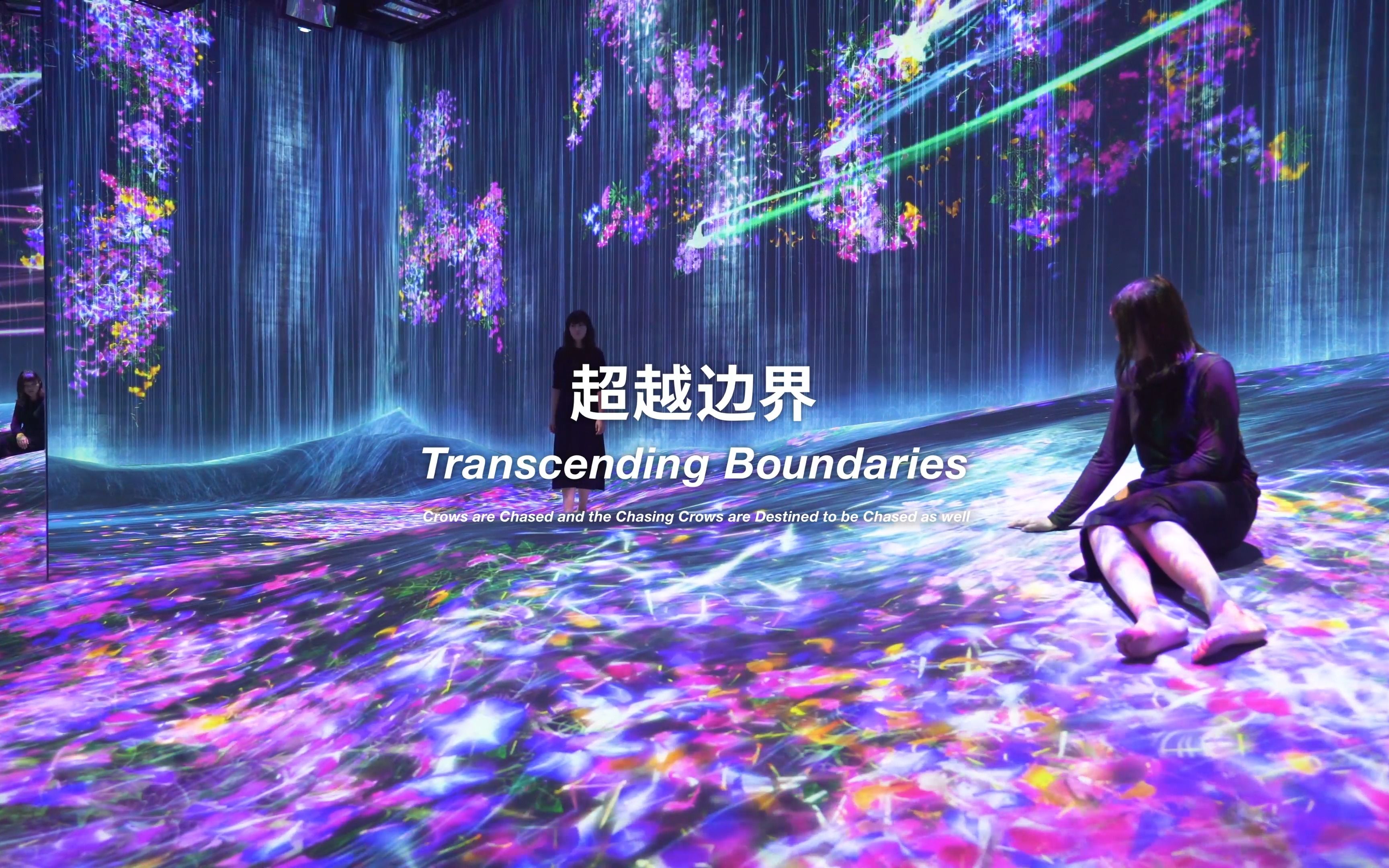 【概念】超越边界  八咫鸟 / Transcending Boundaries  Crows哔哩哔哩bilibili