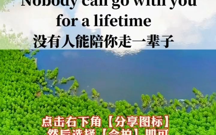 Nobody can go with you for a lifetime 没有人能陪你走一辈子,所以你必须学会适应孤独#英语合拍 #英语正能量素材 #英语打卡哔哩哔哩bilibili