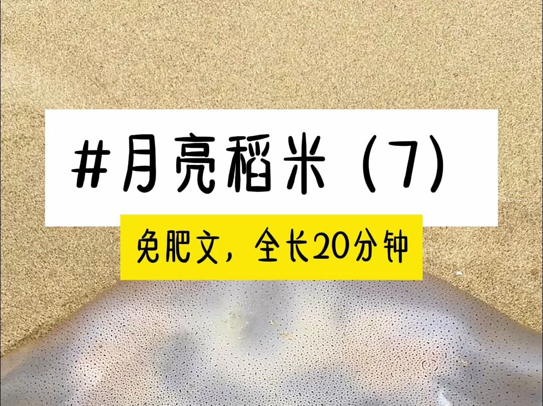 [图]茗《月亮稻米》第7集