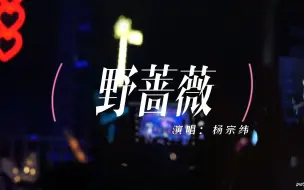 Download Video: 【杨宗纬】野蔷薇-520音乐季@长沙