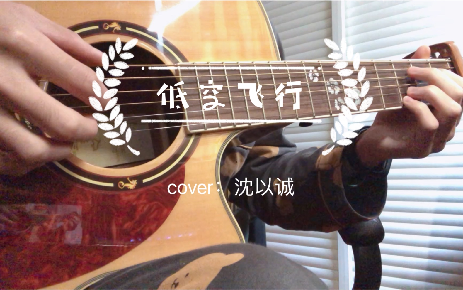 低空飞行cover沈以诚