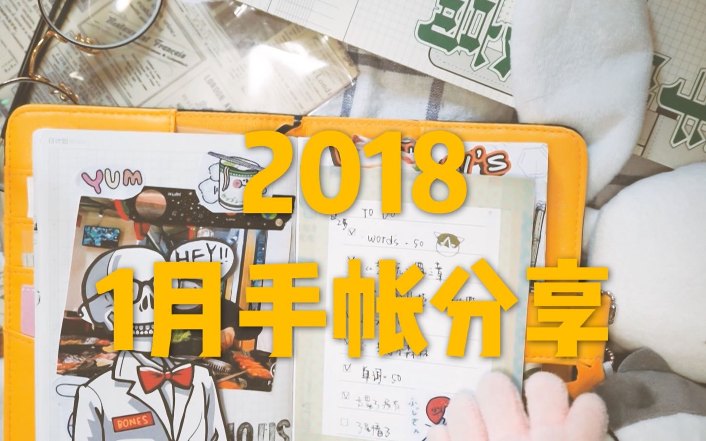 【1月手账分享】2018新年手账!哔哩哔哩bilibili