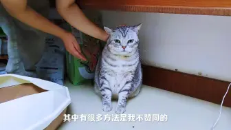 Download Video: 你会用这些方法惩罚家里的小猫咪吗？