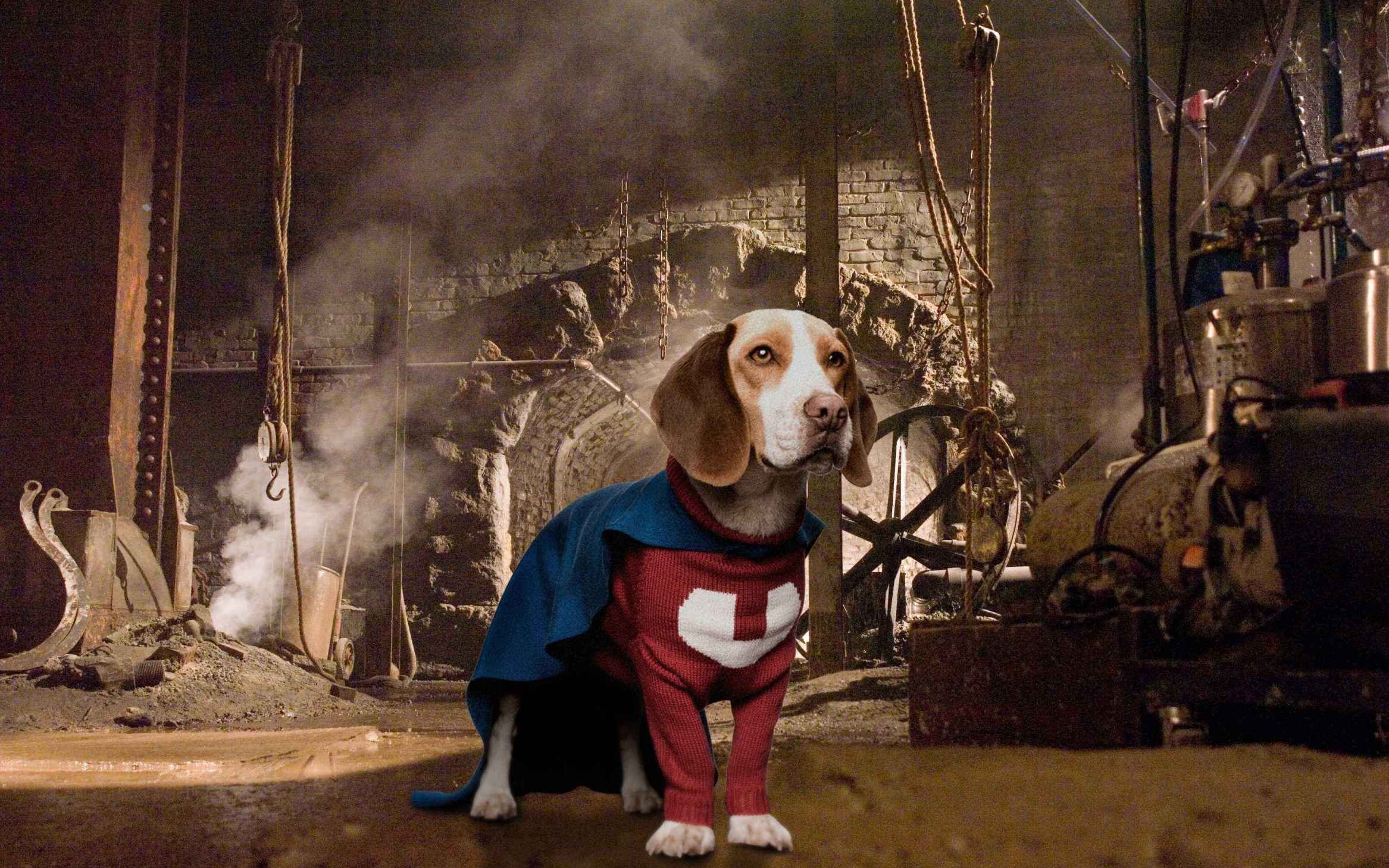 超狗任务正式版狗狗意外获得超能力变身超狗挫败坏博士阴谋喜剧片