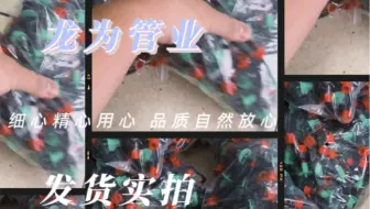 配件齐全