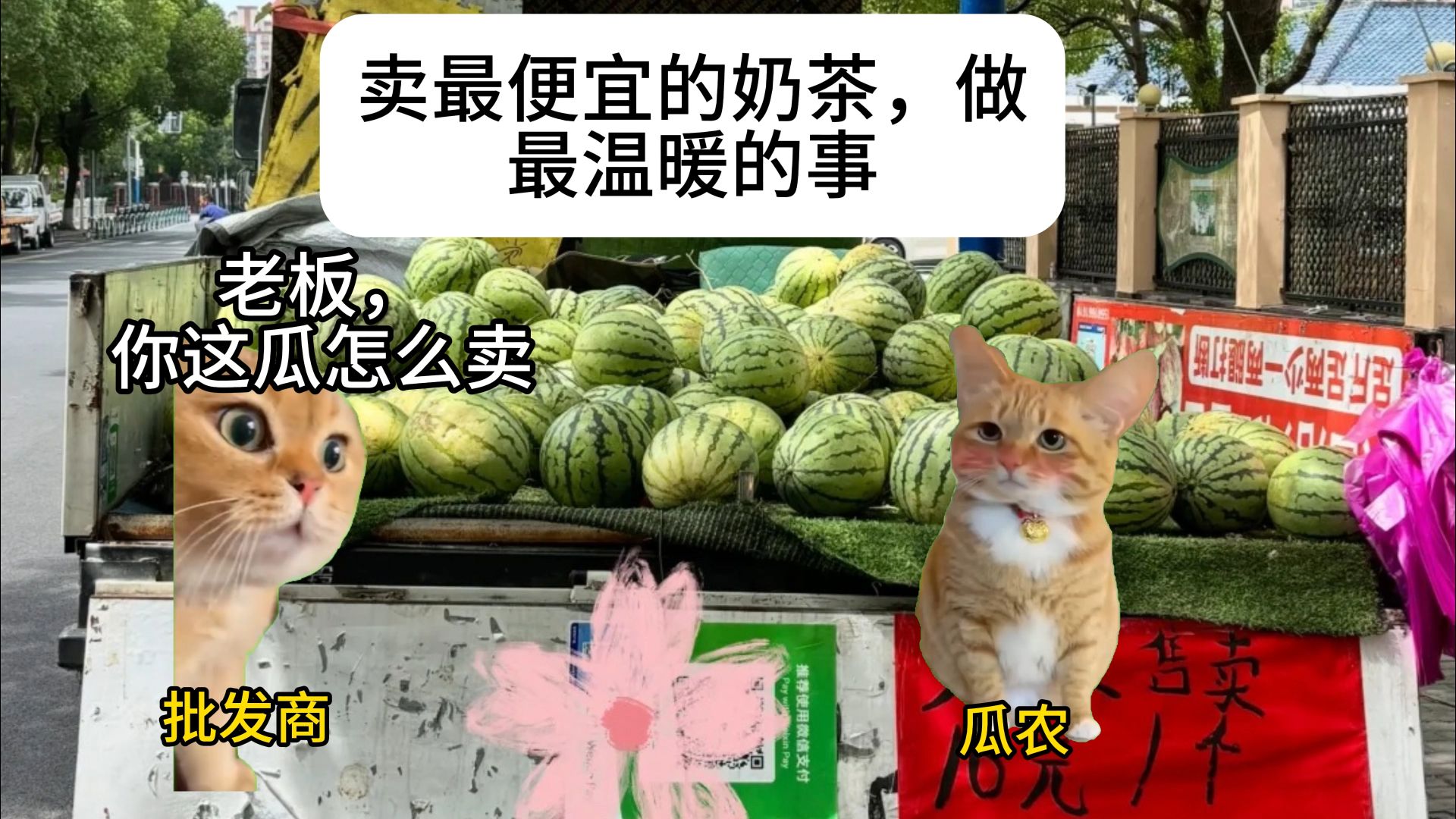 卖最便宜的奶茶，做最温暖的事