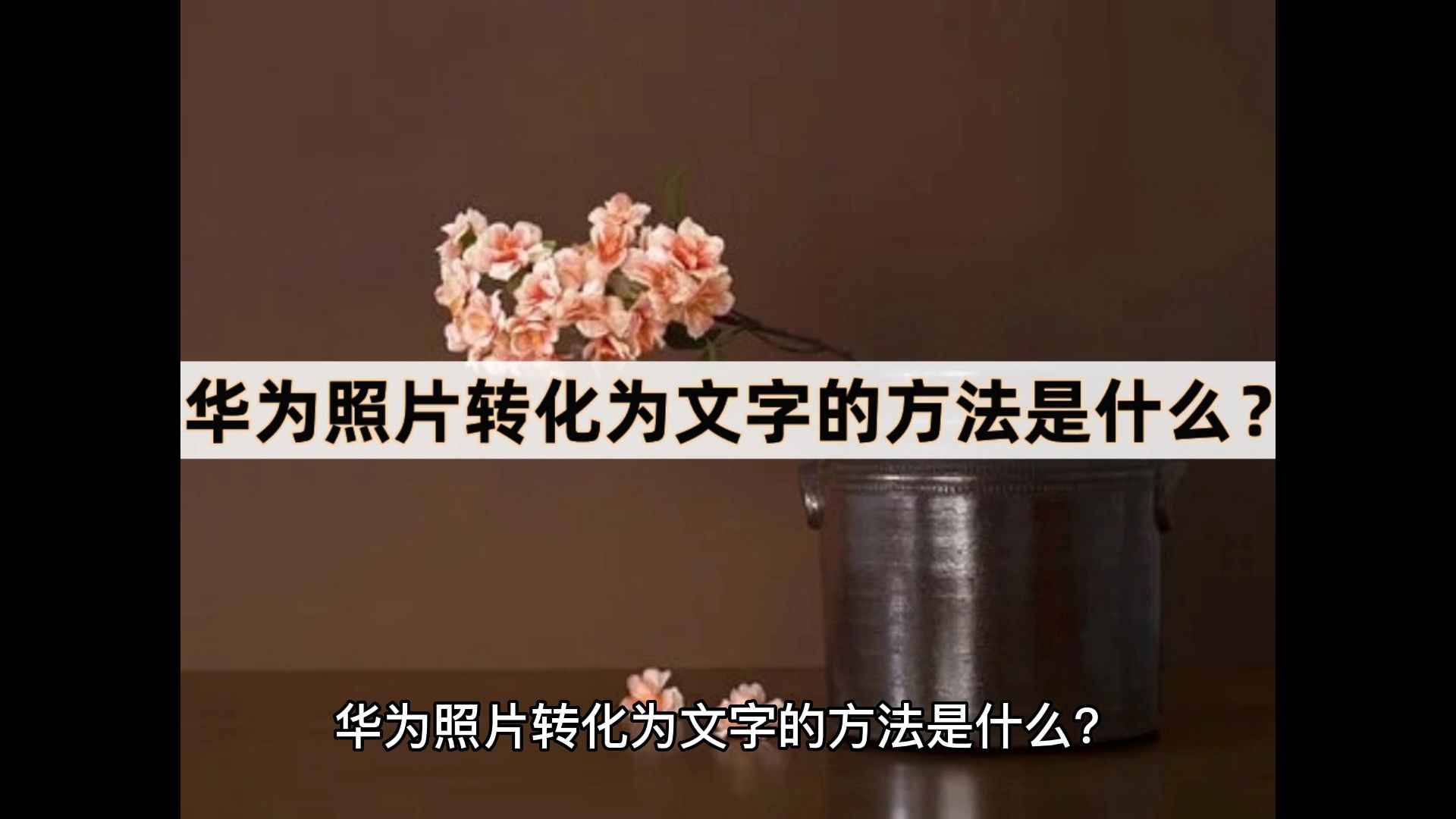 华为照片转化为文字的方法是什么?可以试试这么做哔哩哔哩bilibili