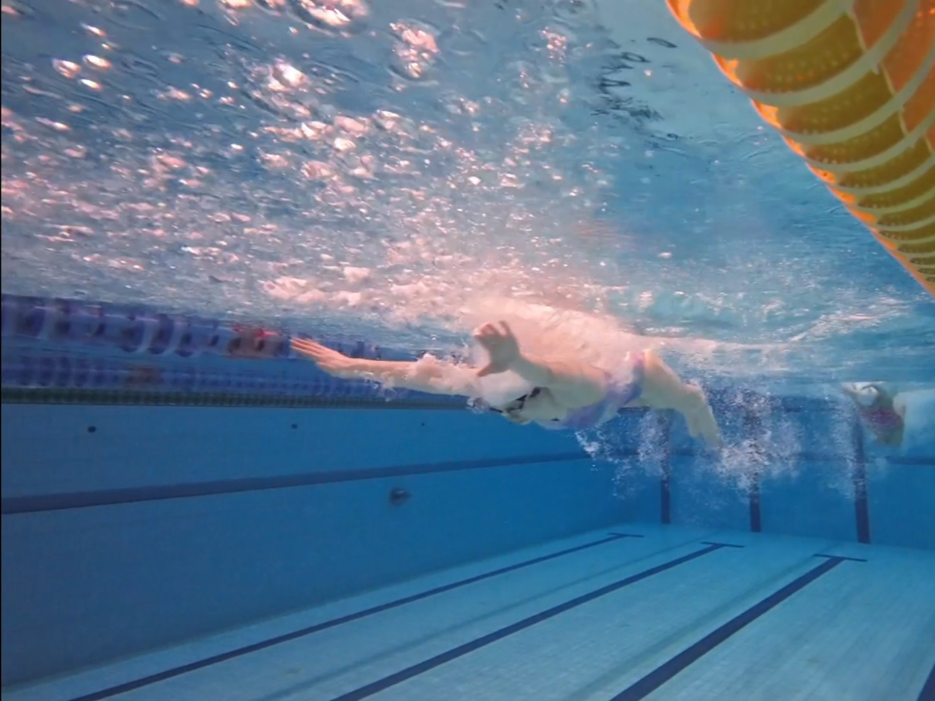 今天的蝶泳,有变化吗?