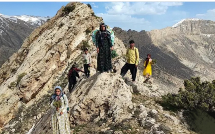 一个村庄的家庭穿越崎岖的山脉去采摘可食用的植物哔哩哔哩bilibili