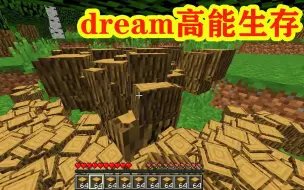 Download Video: 我的世界：dream高能多倍掉落生存，最后有亮点