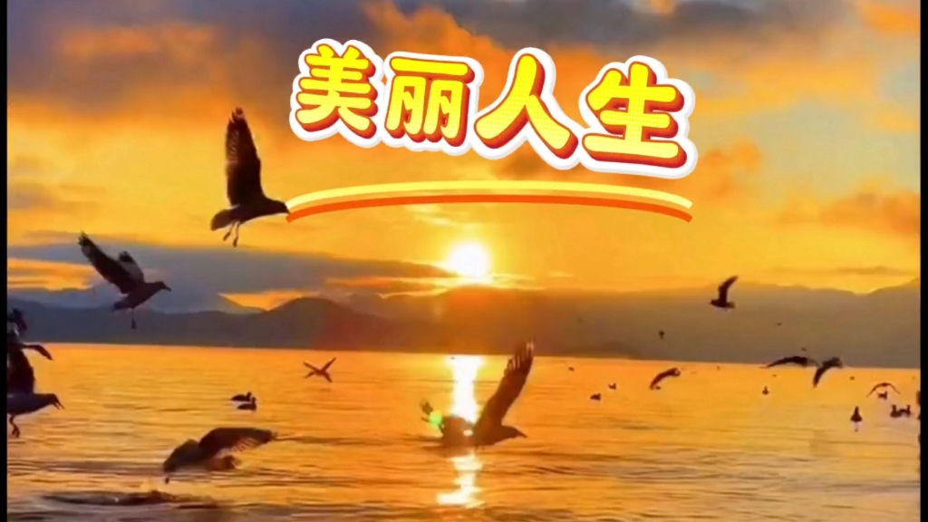都市生活新体验——探索不一样的生活方式