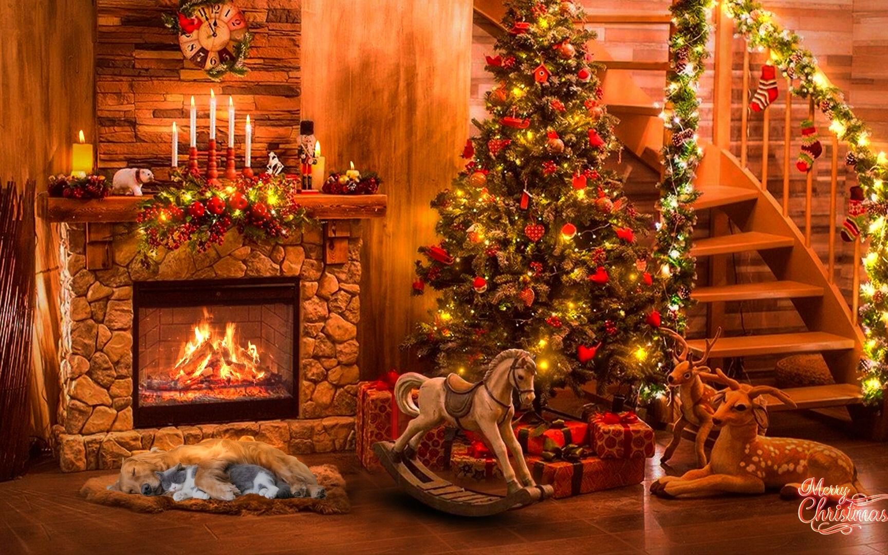 【白噪音】65小时丨舒服温馨的圣诞小屋(温暖的壁炉 猫狗抱着睡觉)