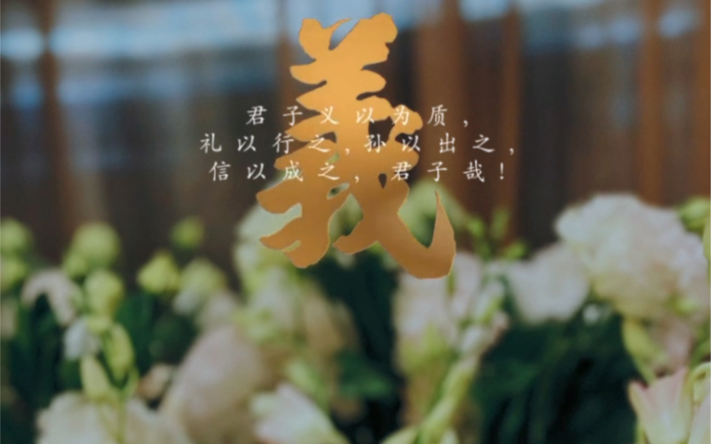 每周一花~泰国千代兰鲜花#洋兰花哔哩哔哩bilibili