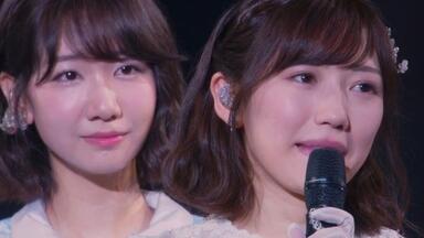 渡辺麻友（まゆゆ）で桜の花びらたち_哔哩哔哩_bilibili