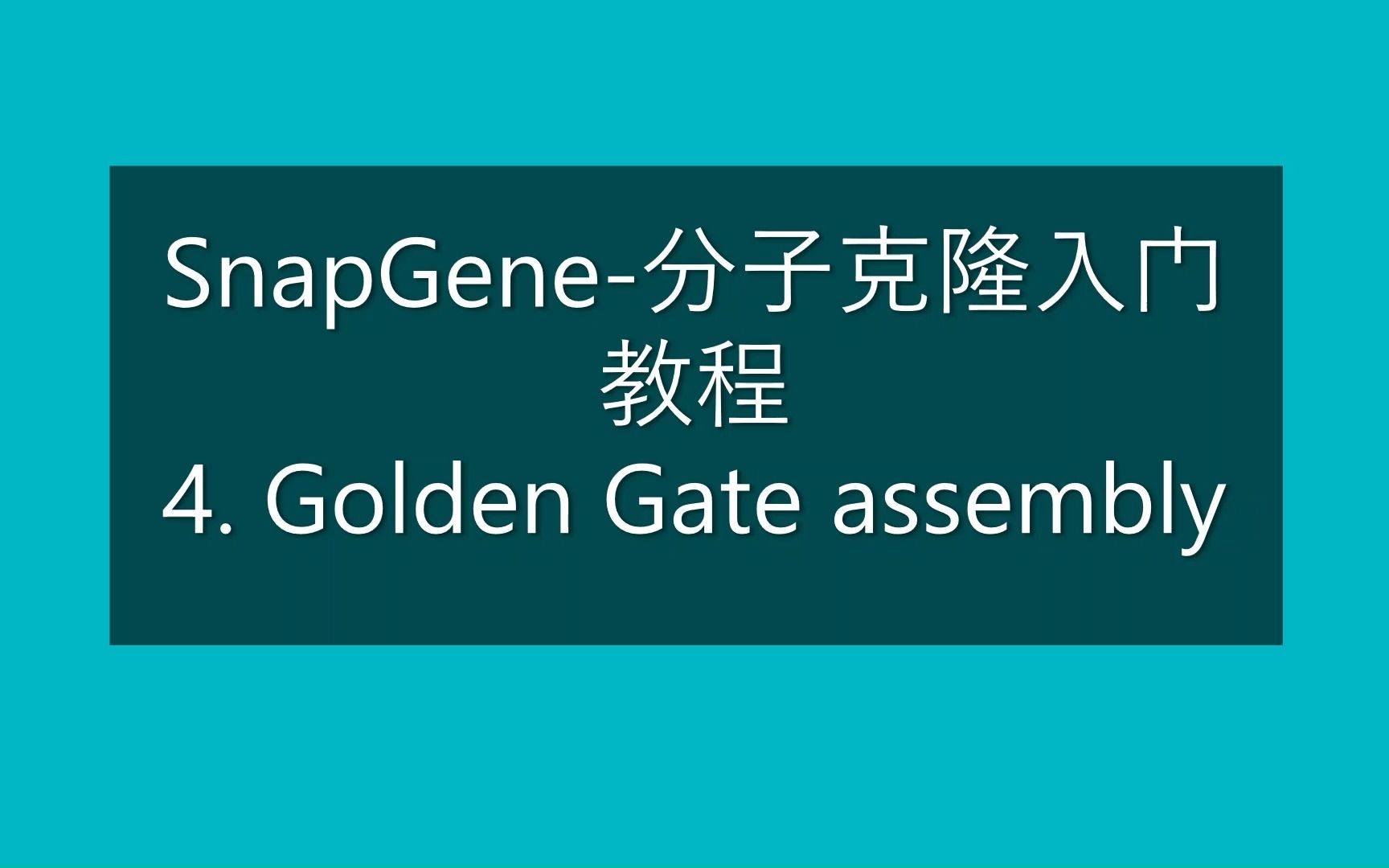 [图]SnapGene-分子克隆入门教程 4. Golden Gate Assembly