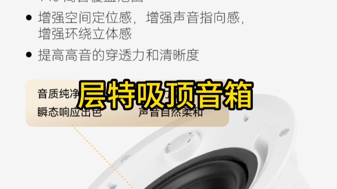 层特吸顶音箱