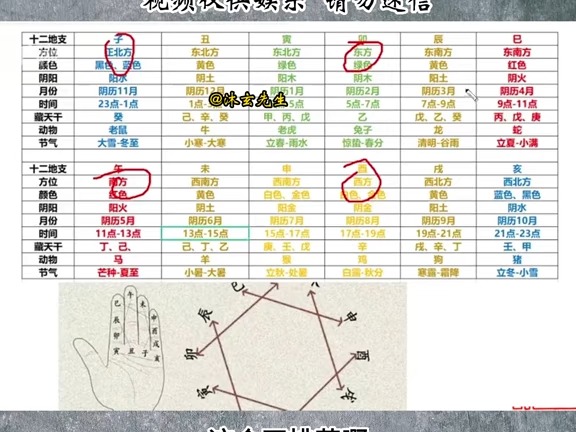 四柱八字基础教学实战篇:十二地支对应的事物代表那些含义①#五行 #五行生克 #四柱八字 #八字基础 #天干地支 #十神关系 #六亲  抖音哔哩哔哩bilibili