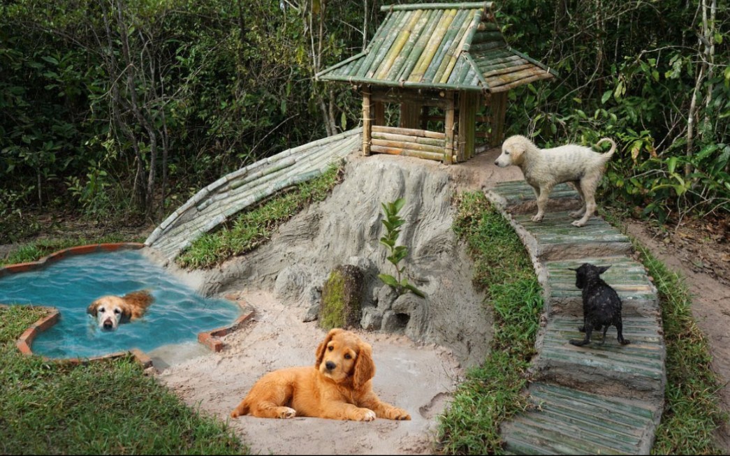 荒野建造用竹子为狗子们建造狗屋和滑梯