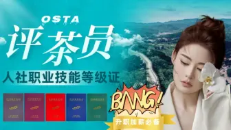 什么是评茶员？