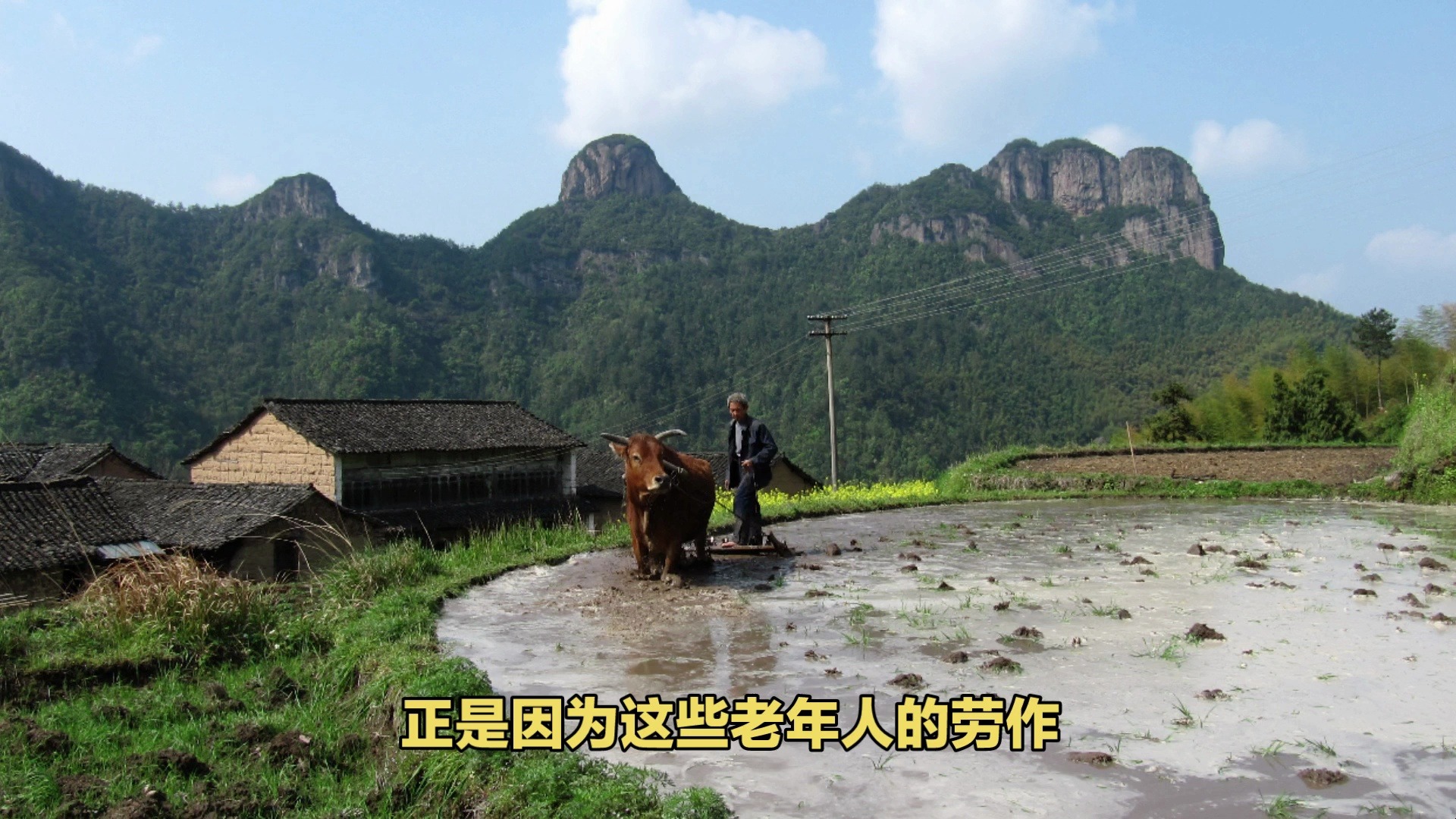 沦落的华东香格里拉公盂村,再也看不到梯田稻谷风光哔哩哔哩bilibili