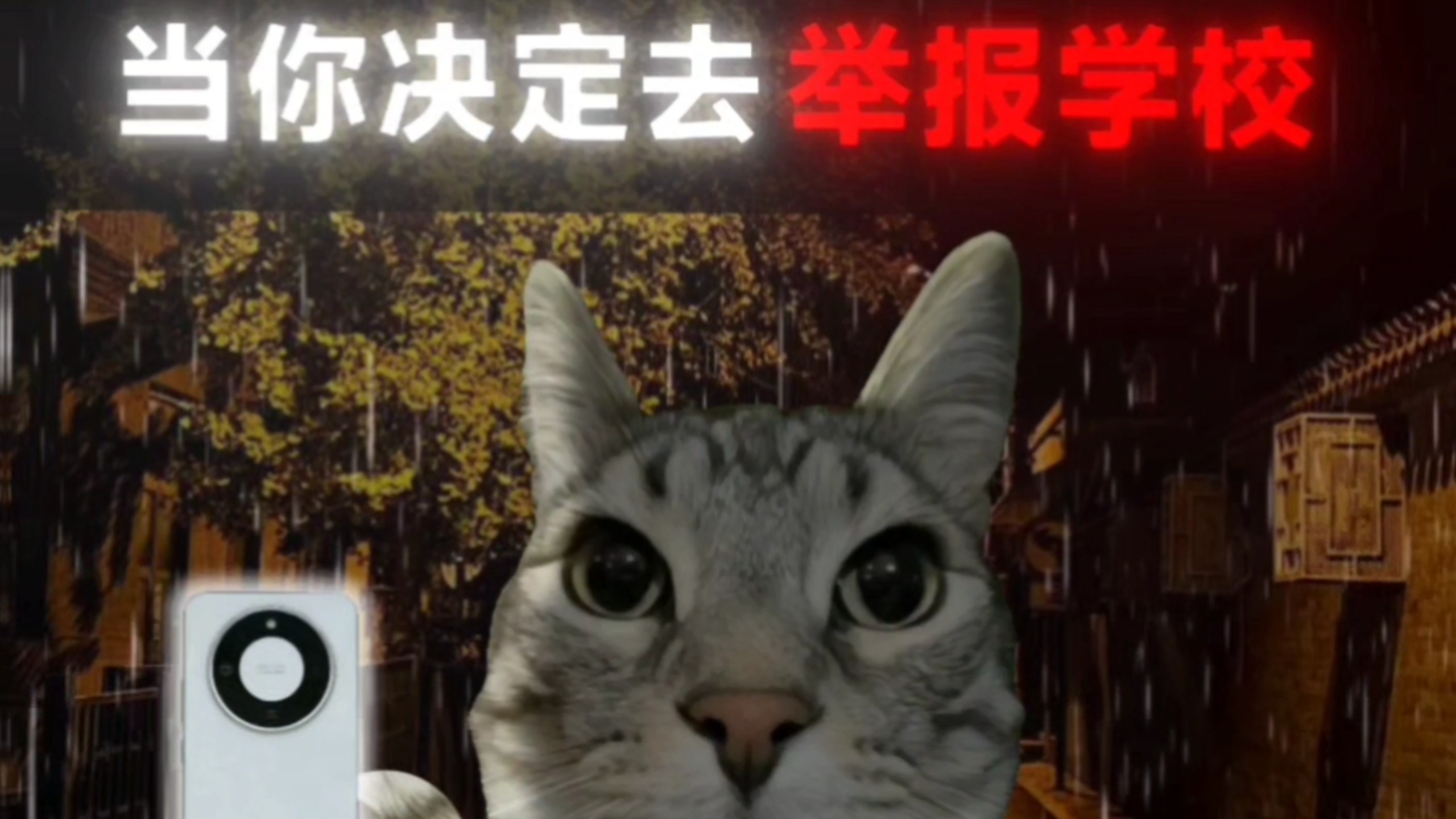 当你决定去举报学校，电话那头传来的却是校长的声音海报