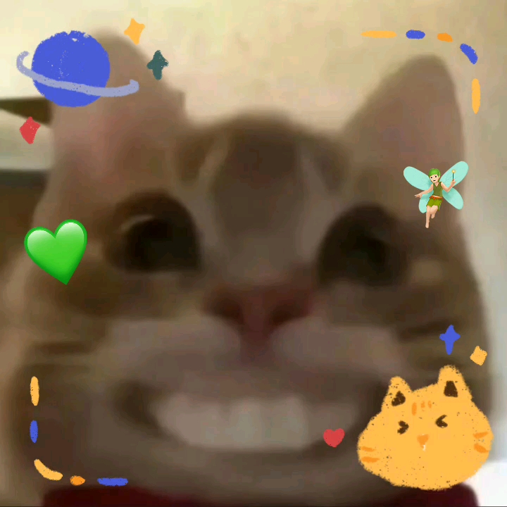 哈皮猫,哈皮,哈皮,哈皮