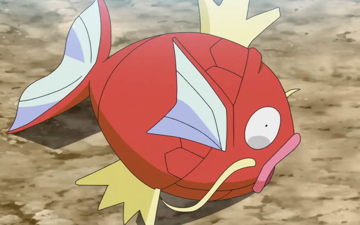 宝可梦官方大会飞跃吧鲤鱼王环境分析谁才是鲤鱼王最好的队友