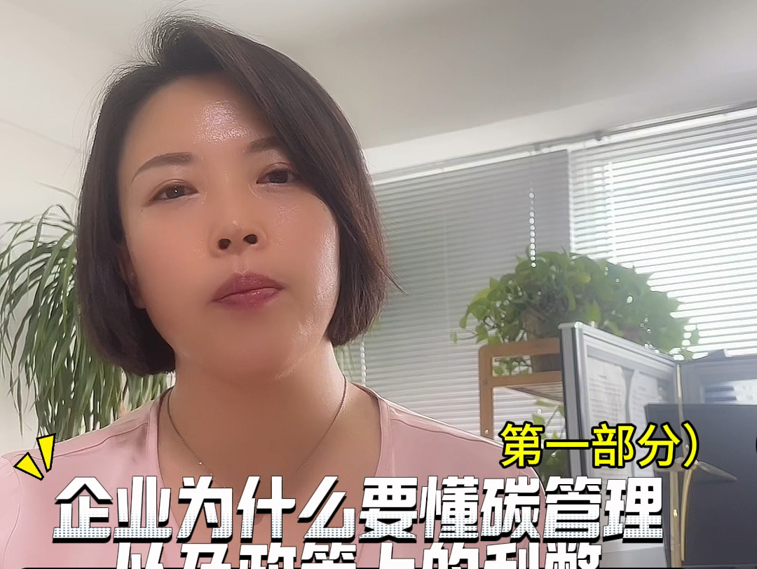 企业为什么必须要懂碳管理,以及政策上的利弊有哪些?#企业碳管理#碳咨询#碳交易 #碳排放管理 #碳金融 #能源管理 #能源审计哔哩哔哩bilibili