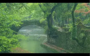 Скачать видео: “一川烟草，满城风絮，梅子黄时雨”