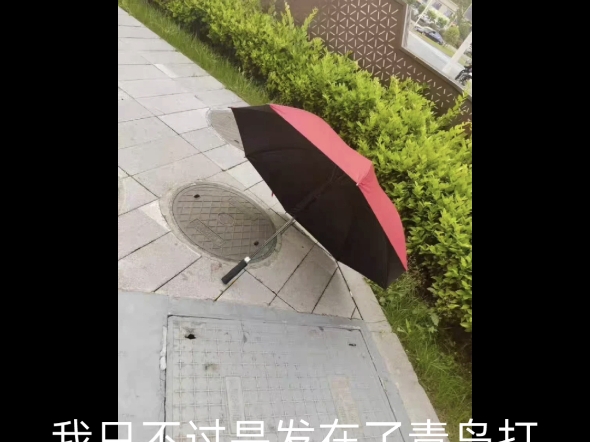 [图]【补档】外红里黑的雨伞