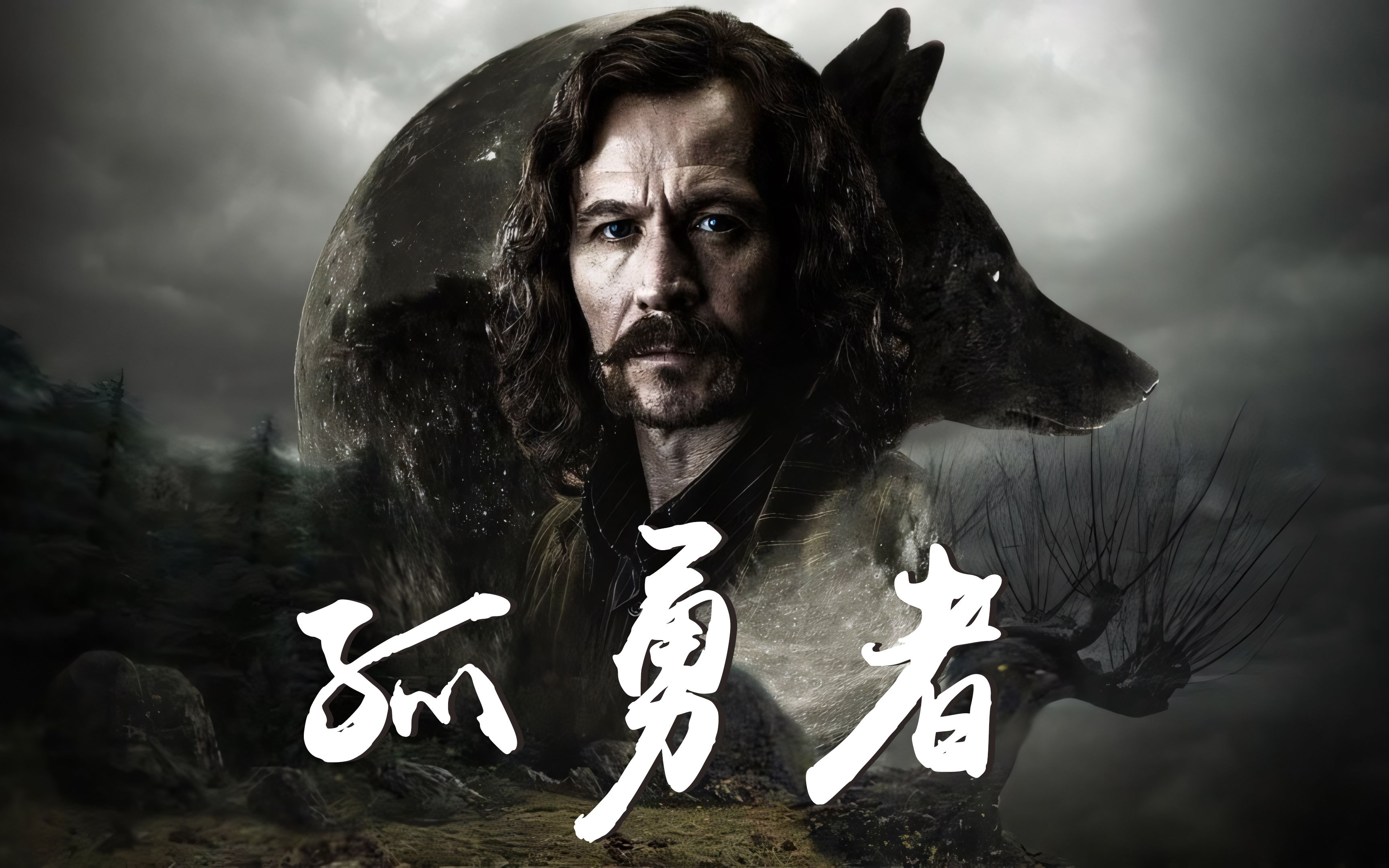 【填词/调教】孤勇者 致永远的教父小天狼星