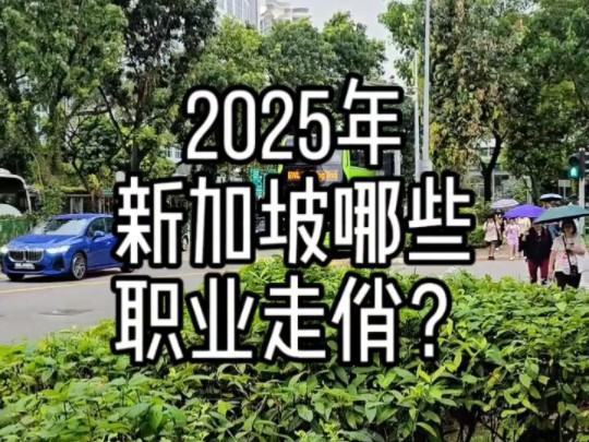 2025年新加坡哪些职业将更走俏?哔哩哔哩bilibili